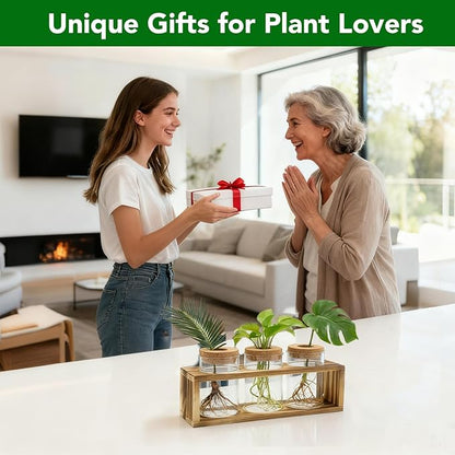 Propagation Stations, Plant Terrarium for Indoor Hydroponic Decor, Glass planters for Fresh Cuttings, Unique Birthday Gifts for Women & Mom, Home/Office Decor