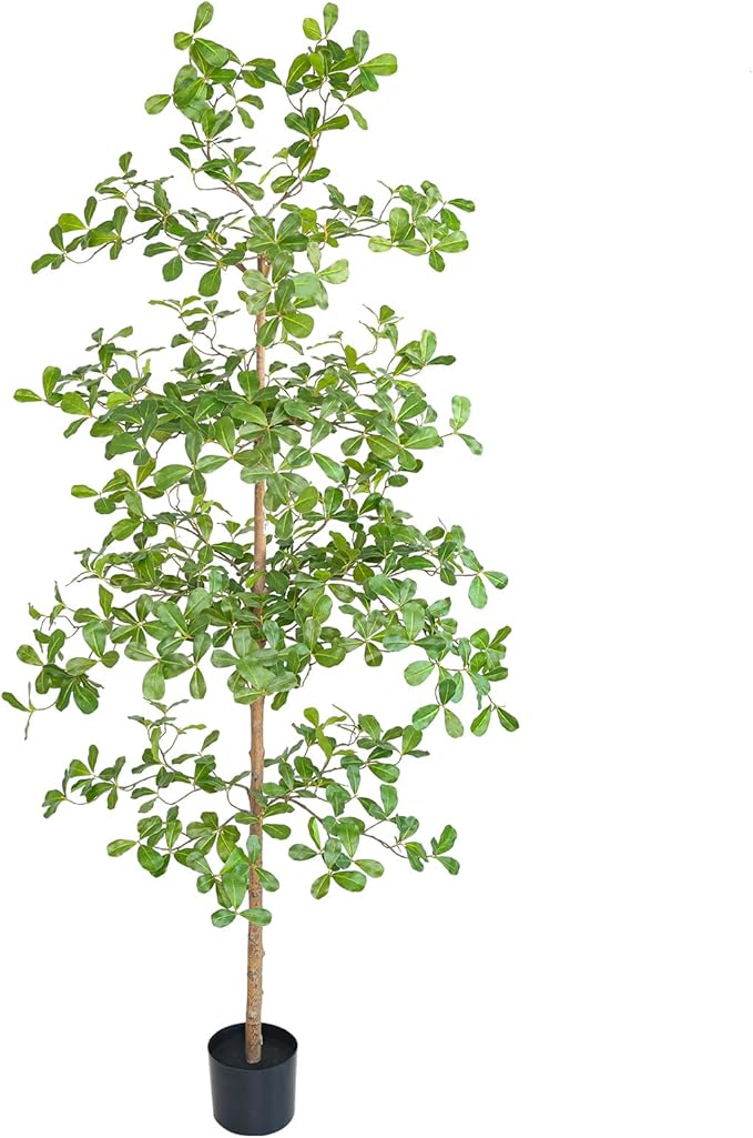 Artificial Black Olive Tree, 6FT Tall Big Leaf Faux Shady Lady Tree with Potted, Fake Olive Tree for Home Decor Indoor
