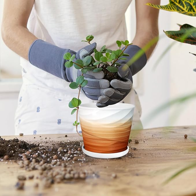 5 Inch Plant Pot,Ceramic Planter with Drainage and Saucer,Ceramic Pots for Plants,Indoor Plant pots,Planters for Indoor Plants(5.5 in Diameter,4 Pack)