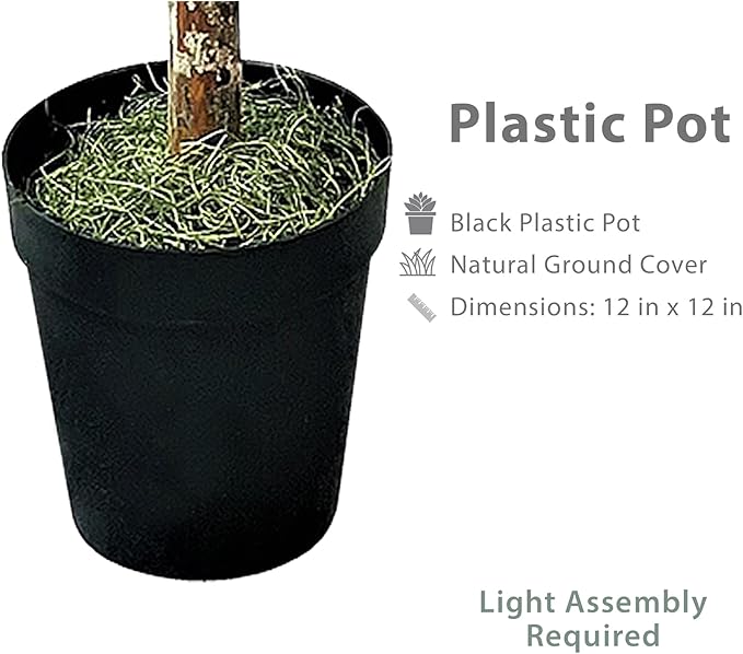 8ft Artificial Ficus Tree in Black Plastic Pot - Real Wood Trunk, Preassembled, No Maintenance Indoor Faux Plant - Living Room, Home & Office Decor