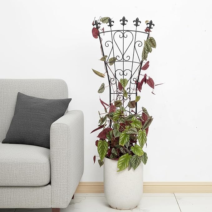 Heavy Duty Indoor Trellis for Climbing Plants Set of 3 – 31x12 Inches Premium Iron Plant Support for Garden, Balcony, and Indoor Spaces – Perfect for Monstera and Other Houseplants