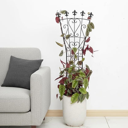 Heavy Duty Indoor Trellis for Climbing Plants Set of 3 – 31x12 Inches Premium Iron Plant Support for Garden, Balcony, and Indoor Spaces – Perfect for Monstera and Other Houseplants