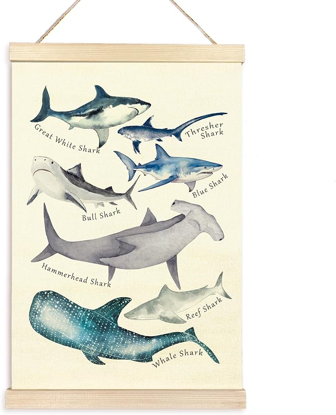 TAEDIN Watercolor Shark Ocean Animal Chart Poster Hanger Frame, Educational Shark Kid Bathroom Decor Wooden Canvas Artwork Print, Sea Life Wall Painting for Homeschool Classroom Library Dorm Decor 16X24
