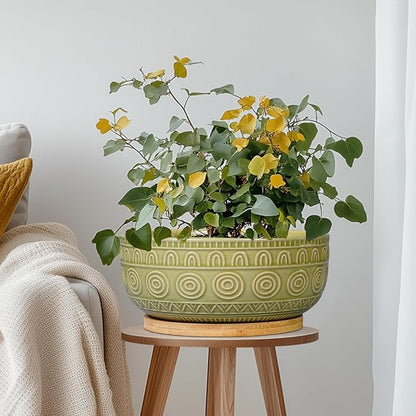 Bonsai Pots - 8 Inch Ceramic Succulent Pots with Drainage Hole and Saucer, Shallow Round Planter for Indoor Plants, Boho Bowl Planter, Room Decor, Green