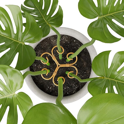 Plant Support Stakes,Heart-Shaped Indoor Plant Trellis,6 Pcs Reusable Plant Holder Stabilizer,Durable Plastic Climbing Plant Support Rings for Potted Plants,Vines,and Growing Support