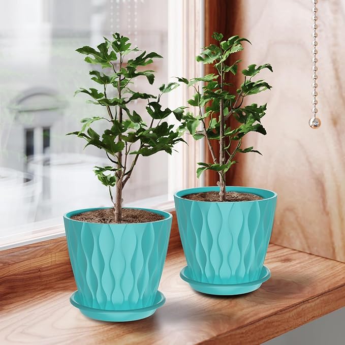 6 Inch Plant Pots with Saucers, 6 Pack Indoor Flower Pots, Planters with Drainage Holes for Orchids, Violets, Succulents, Herbs, and Other Plants, White (Black-Green, 6inch)