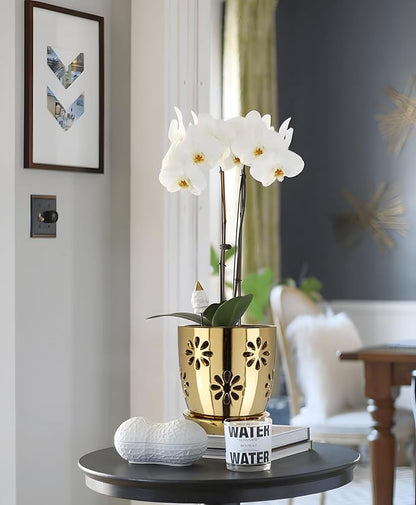 Oairse 6 inch Orchid Pots with Holes, Gold Ceramic Orchid Pot for Repotting Small Indoor Plant Pots with Drainage Holes and Saucers Decorative Flower Planter for Orchids, Indoor Plant