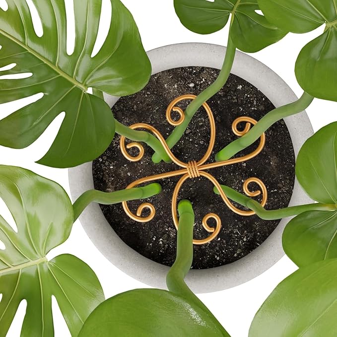 Plant Support Stakes,Flower-Shaped Indoor Plant Trellis,6 Pcs Reusable Plant Holder Stabilizer,Durable Plastic Climbing Plant Support Rings for Potted Plants,Vines,and Growing Support