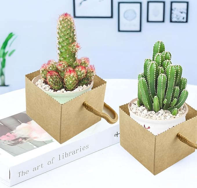 mini Kraft Paper Succulent Green Plant Flowerpot Hand-Carry Box with Lamination, Suitable for Floral Arrangements, Succulent Potted Plant Boxes 40PCS