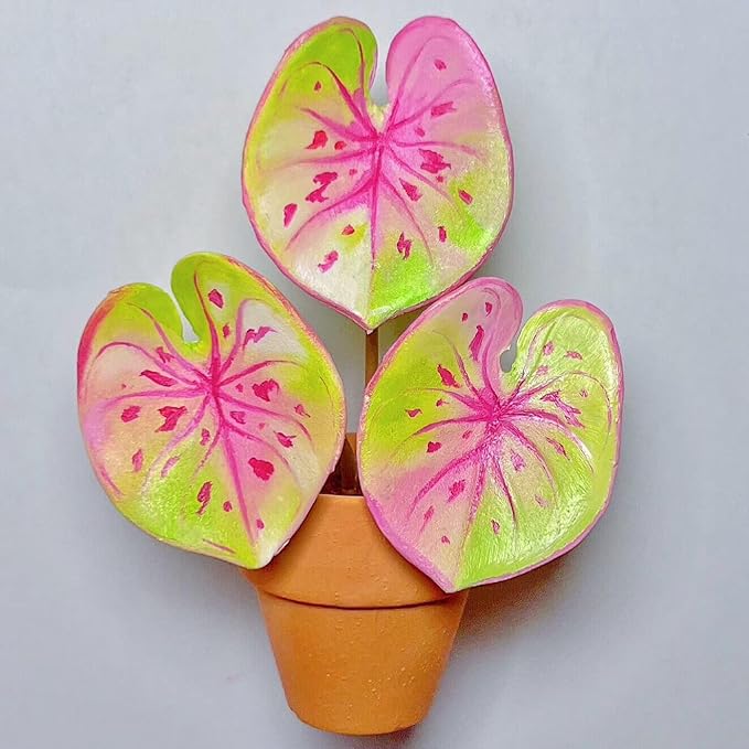 Mini Terracotta Pots – Small Clay Flower Pots for Succulents, Cactus, DIY Crafts, Fairy Garden, School Projects, Mini Planters, Set of 30 (Classic Cylinder, 1 Inch)
