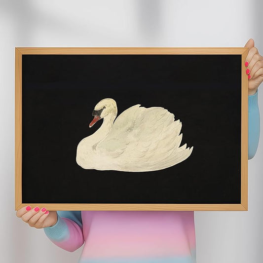 97 Decor Extra Large Vintage Wall Art For Living Room Unframed - 24x36 Big Vintage Pictures Wall Decor, Classic Animal Swan Print, Fine Art Paintings Moody Artwork French Decorations For Bathroom Bedroom