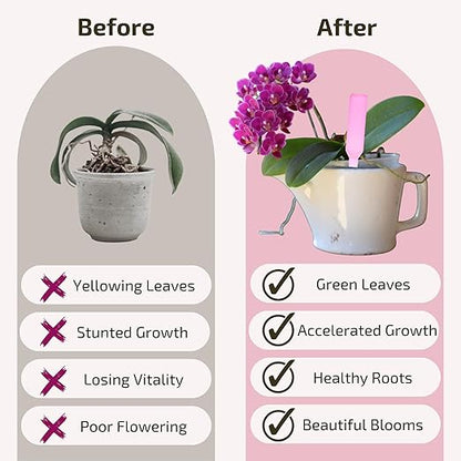 Liquid Orchid Fertilizer Spikes | Ready-to-Use Orchid Food for Blooming, Fertilizer for Orchids (8 Drip Feeders)