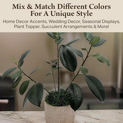 Preserved Spanish Moss - Premium Decorative Moss for Crafts, Home Décor, Art, Design & DIY Projects - Real Moss - Non-Toxic, USA-Made (Forest Green, Medium, 2-Pack)