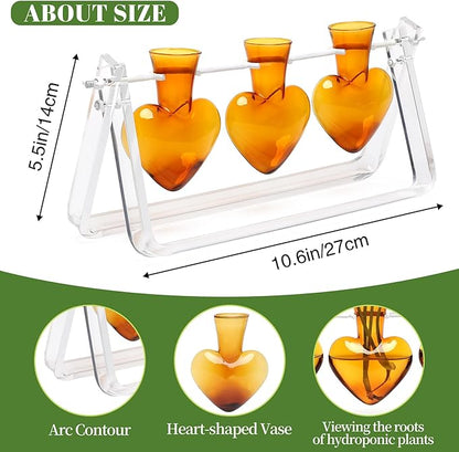 Clear Plant Terrarium Propagation Stations with Acrylic Stand Birthday Gifts for Women Office Home Decor