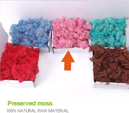Preserved Moss-3.5 OZ Moss for Crafts Faux Moss Decor Natural Green Moss for Art Wall Florist Decor, Fairy Gardens, Wedding, Floral Project(Light Pink 3.5 OZ)