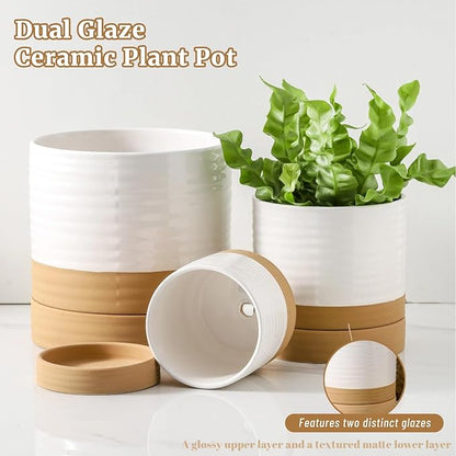 HASENSE Pots for Plants, 8+6+4.6 Inch Ceramic Plant Pots Indoors with Drainage Hole and Tray, White Planters Set for Outdoor Indoor Plants, Farmhouse Home and Office Decor, Set of 3