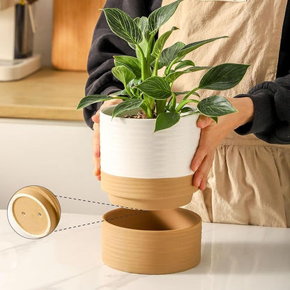 HASENSE Ceramic Plant Pots, 6 Inch Pot with Drainage Hole & Matching Saucer, Ideal for Indoor Succulents,Flower Pots for Decor,Succulent, Snake Plants, Cactus, Modern Decor Gift for Mom(White)