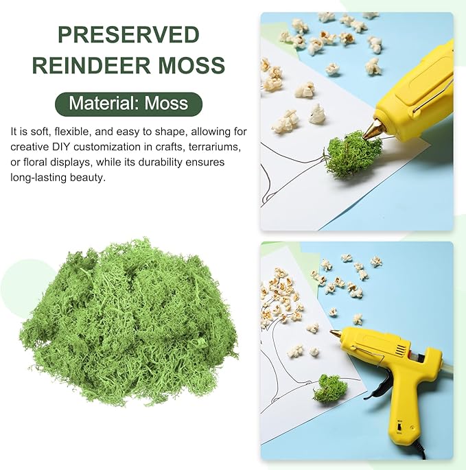MECCANIXITY 3oz Preserved Reindeer Moss, Grass Green Decorative Artificial Fake Moss for Potted Plants Indoor Crafts Lichen Centerpieces Decor