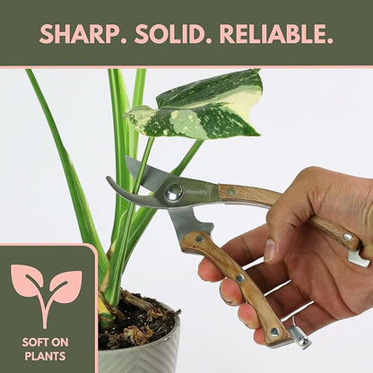 Mossify Garden Shears 8” – Premium Stainless Steel Pruning Shears for Gardening with Wooden Handle – Hand Pruners, Plant Clippers & Garden Scissors – Sharp Garden Tool for Left & Right Hand Use