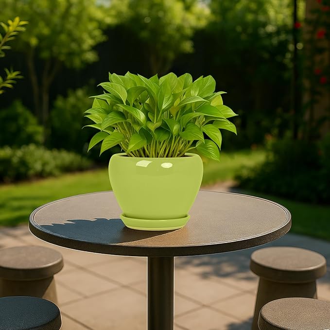 Deep Dream 6 Inch Plant Pots- Ceramic Planter Pot with Drainage Hole and Saucer, Round Flower Pot for Indoor Outdoor Succulent, Snake Plants and Cactus, Mint Green