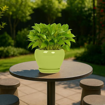 Deep Dream 6 Inch Plant Pots- Ceramic Planter Pot with Drainage Hole and Saucer, Round Flower Pot for Indoor Outdoor Succulent, Snake Plants and Cactus, Mint Green