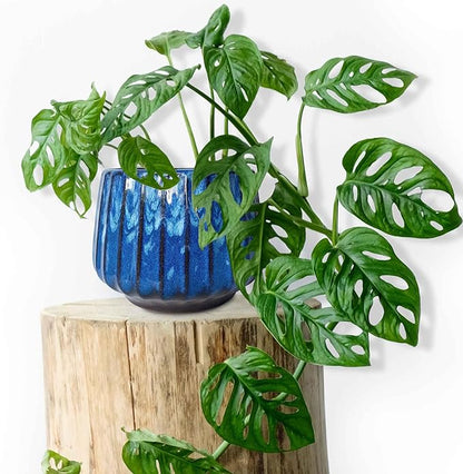 5.5 inch Plant Pot Ceramic，Reactive Glaze Pot with Drainage Hole for Indoor/Outdoor Plants，Breathable Small Cactus Pot Glazed Blue