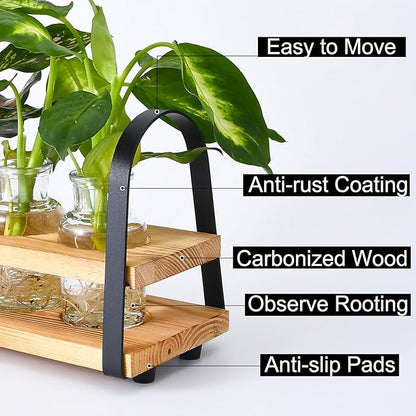 Plant Propagation Station with Wood Stand, Desktop Terrarium for Hydroponic, Flower Vase for Home, Kitchen, Office Decor, Plants Lover Gifts
