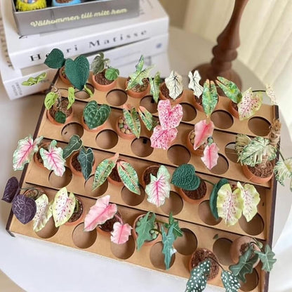 Mini Terracotta Pots – Small Clay Flower Pots for Succulents, Cactus, DIY Crafts, Fairy Garden, School Projects, Mini Planters, Set of 30 (Classic Cylinder, 1.2 Inch)