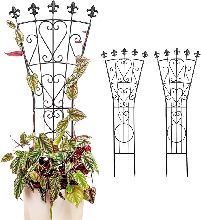 Heavy Duty Indoor Trellis for Climbing Plants Set of 3 – 31x12 Inches Premium Iron Plant Support for Garden, Balcony, and Indoor Spaces – Perfect for Monstera and Other Houseplants