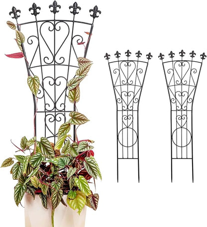 Heavy Duty Indoor Trellis for Climbing Plants Set of 3 – 31x12 Inches Premium Iron Plant Support for Garden, Balcony, and Indoor Spaces – Perfect for Monstera and Other Houseplants