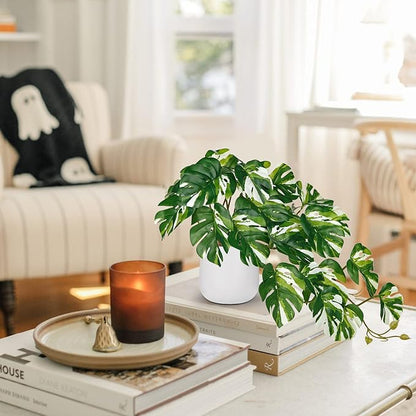 DILATATA Fake Plants Indoor 8 Inch Artificial Monstera Plant in White Ceramic Pot - Faux Potted Tropical Palm Plant for Home Aesthetic Decor Living Room Shelf Office