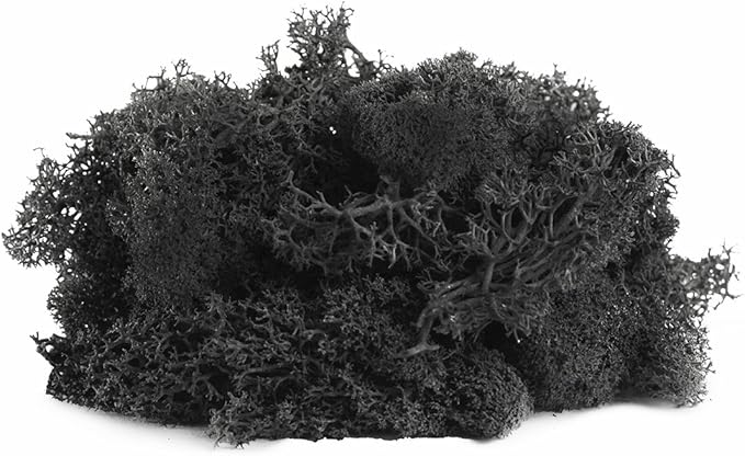 SuperMoss (21790) Reindeer Moss – Soft Preserved Moss for Home Decor, Crafts, Terrariums, Floral Design, and Wedding Decorations, 2,588 cu in, Black