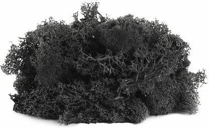 SuperMoss (21790) Reindeer Moss – Soft Preserved Moss for Home Decor, Crafts, Terrariums, Floral Design, and Wedding Decorations, 2,588 cu in, Black
