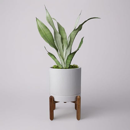 8 Inch Ceramic Planter with Natural Wood Stand w/Drainage & Saucer - Modern Indoor Planter for Cacti, Snake Plants & Aloe Vera
