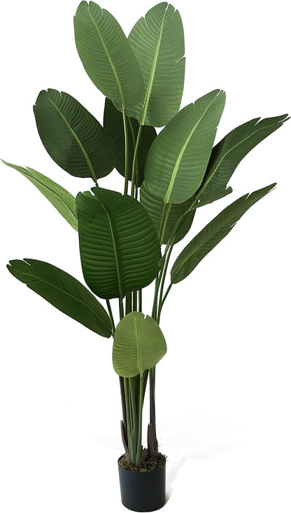 CAPHAUS 6FT Artificial Bird of Paradise Tree, UV Resistant Potted Fake Plant with Dried Moss for Indoor Outdoor Use, Realistic Large Floor Plant for Home Office Decor, No Maintenance