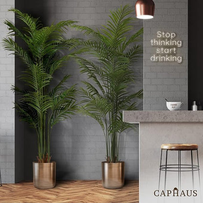 CAPHAUS 6FT Artificial Palm Tree Potted, Realistic Fake Palm Plant for Indoor & Outdoor, UV Resistant Low Maintenance Faux Tree for Home Office, Living Room, Covered Patio Decor