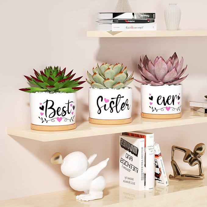 Christmas Sisters Gifts from Sister, Best Gifts for Sister from Brother, Best Sister Ever Ceramic Succulent Pots for Plants Indoor, Gift Boxed Thanksgiving Birthday Gifts for Sister in Law Soul Sister