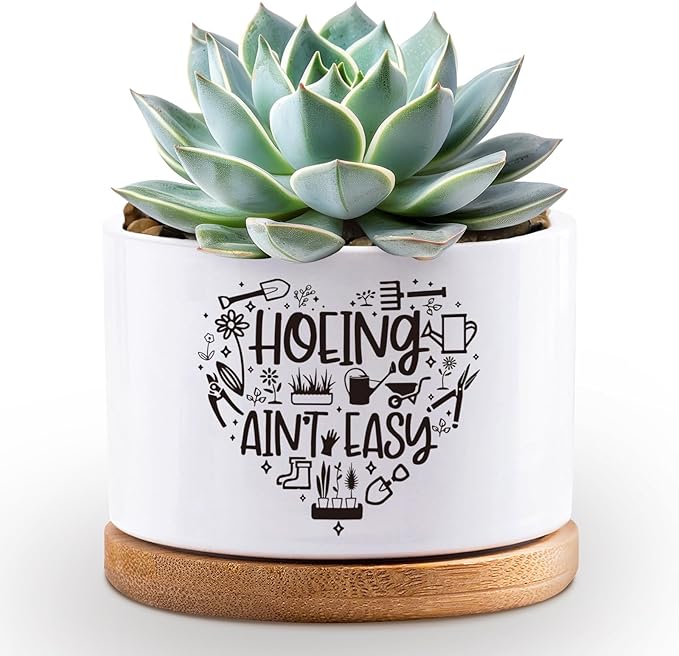 Thank You for Helping Me Grow Pots, Succulent Cactus Pot, Funny White Ceramic Flower Planters, Indoor 3.5 inch Pots, Plant Not Included