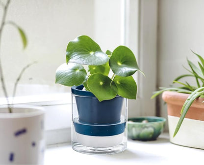 D'vine Dev 4 Inch Design Self Watering Planter for Indoor Plants, Blue Terracotta Pot with Cylinder Glass Cup, Set of 2, 37-Y-A-4