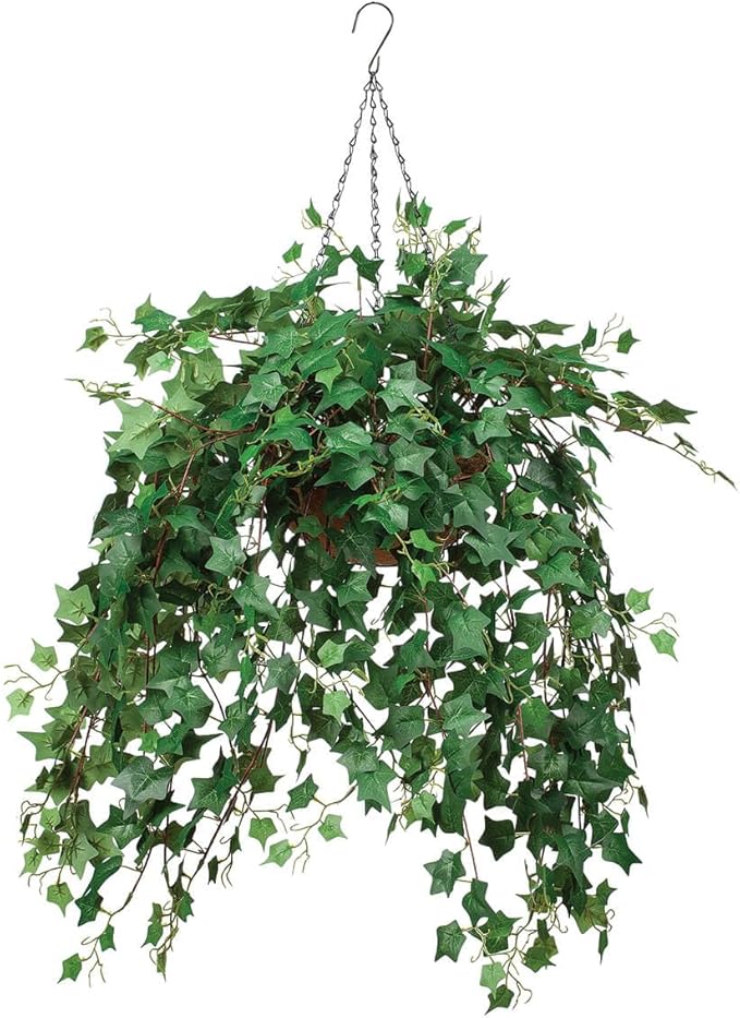 OakRidge Fully Assembled Ivy Hanging Basket, English Green