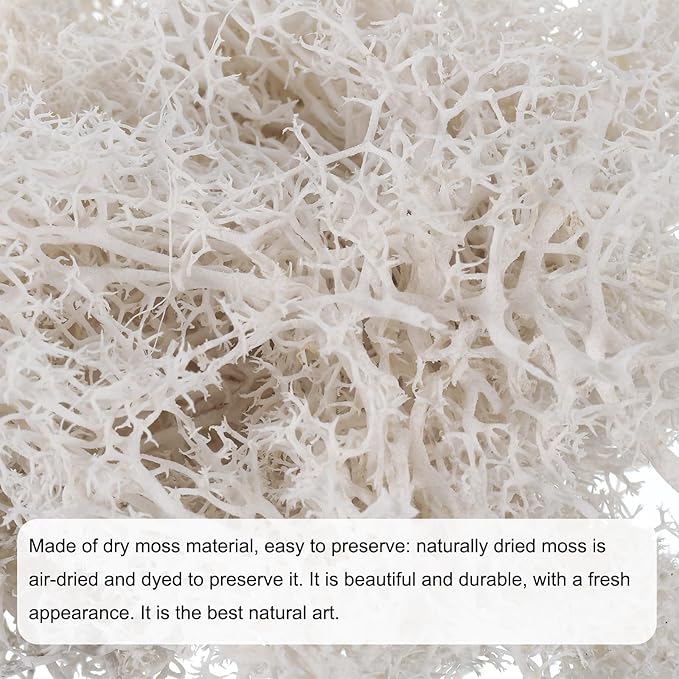 MECCANIXITY 3.5 OZ Moss Fake Craft Moss Artificial Moss Natural Preserved Moss for Craft Arts Floral DIY Project Wall Wedding Garden Patio Table Terrariums Decoration(White)
