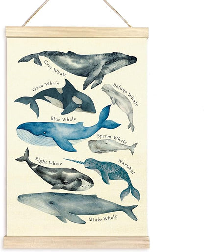 TAEDIN Whales Ocean Animal Chart Poster Hanger Frame, Whales Nautical Wall decor Educational Wooden Canvas Print, Sea Life Beach Wall Decor Painting for Classroom Nursery Bedroom Teen Room 16X24