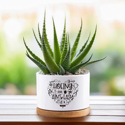 Thank You for Helping Me Grow Pots, Succulent Cactus Pot, Funny White Ceramic Flower Planters, Indoor 3.5 inch Pots, Plant Not Included