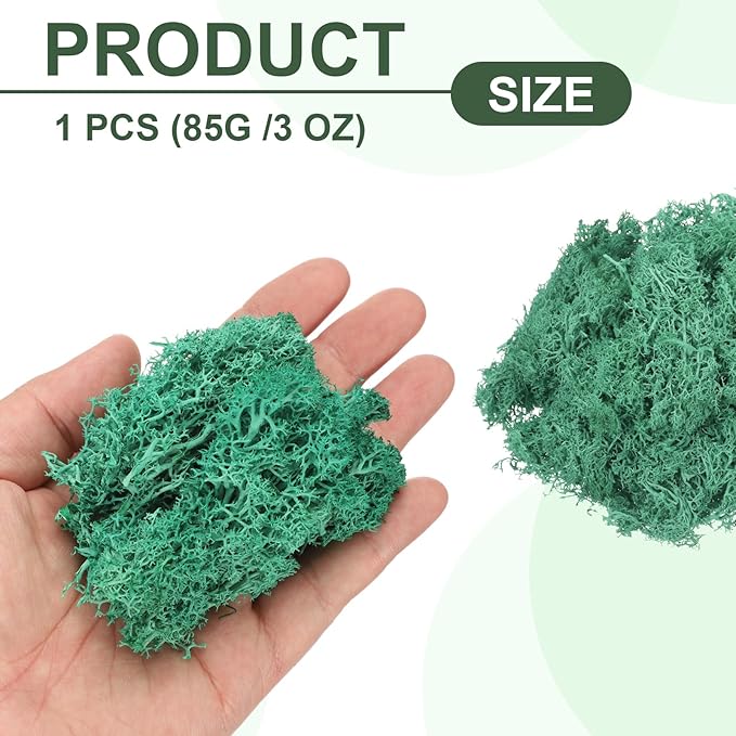 MECCANIXITY 3oz Preserved Reindeer Moss, Cyan Decorative Artificial Fake Moss for Potted Plants Indoor Crafts Lichen Centerpieces Decor