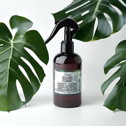 Cute Farms Indoor Potted Exotic Flower & Tropical Plant Fertilizer | Gentle Weekly Use Formula Plant Food (Three - 8 oz. Spray Bottles)