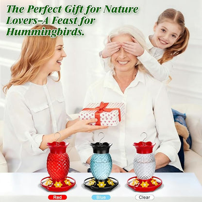Glass Hummingbird Feeders for Outdoors Hanging Ant and Bee Proof 16OZ 2 Pack Clear Pineapple Humming Bird Feeder with 6 Feeding Ports and Ant Moat Hummingbird Gifts for Women Garden Decor