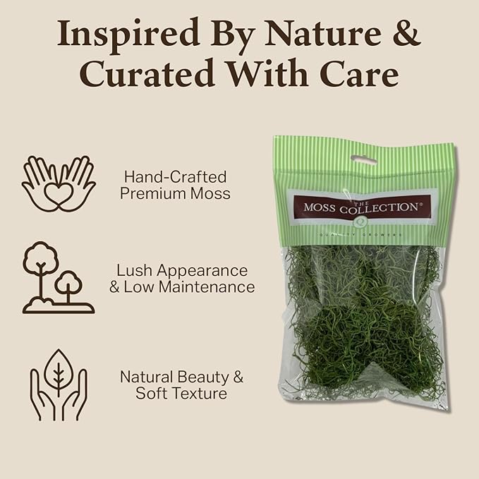Preserved Spanish Moss - Premium Decorative Moss for Crafts, Home Décor, Art, Design & DIY Projects - Real Moss - Non-Toxic, USA-Made (Green Apple, Small, 2-Pack)