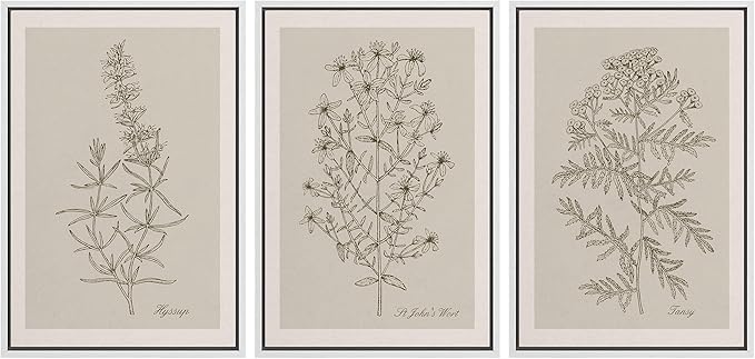 Ashbrook Framed Canvas Print Wall Art Set Duotone Vintage Flowers Nature Wilderness Illustrations Modern Art Decorative Floral Botanical Minimal Calm/Relax/Cozy for Bedroom - 16"x24"x3 WHITE