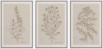 Ashbrook Framed Canvas Print Wall Art Set Duotone Vintage Flowers Nature Wilderness Illustrations Modern Art Decorative Floral Botanical Minimal Calm/Relax/Cozy for Bedroom - 16"x24"x3 WHITE