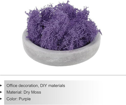 MECCANIXITY 3.5 OZ Moss Fake Craft Moss Artificial Moss Natural Preserved Moss for Craft Arts Floral DIY Project Wall Wedding Garden Patio Table Terrariums Decoration(Purple)